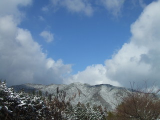 2009_07300017.JPG